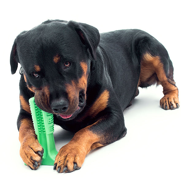 Doggy Silicon Tooth Brush !