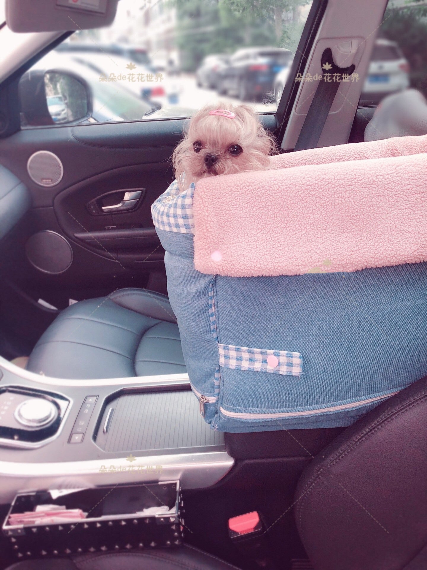 Doggy Cushioned Car Seat! (Washable)!