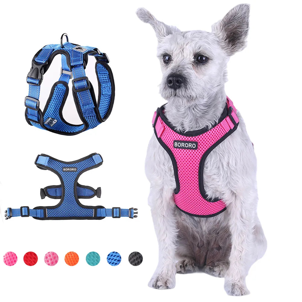 Doggy Adjustable Harness/Leash!