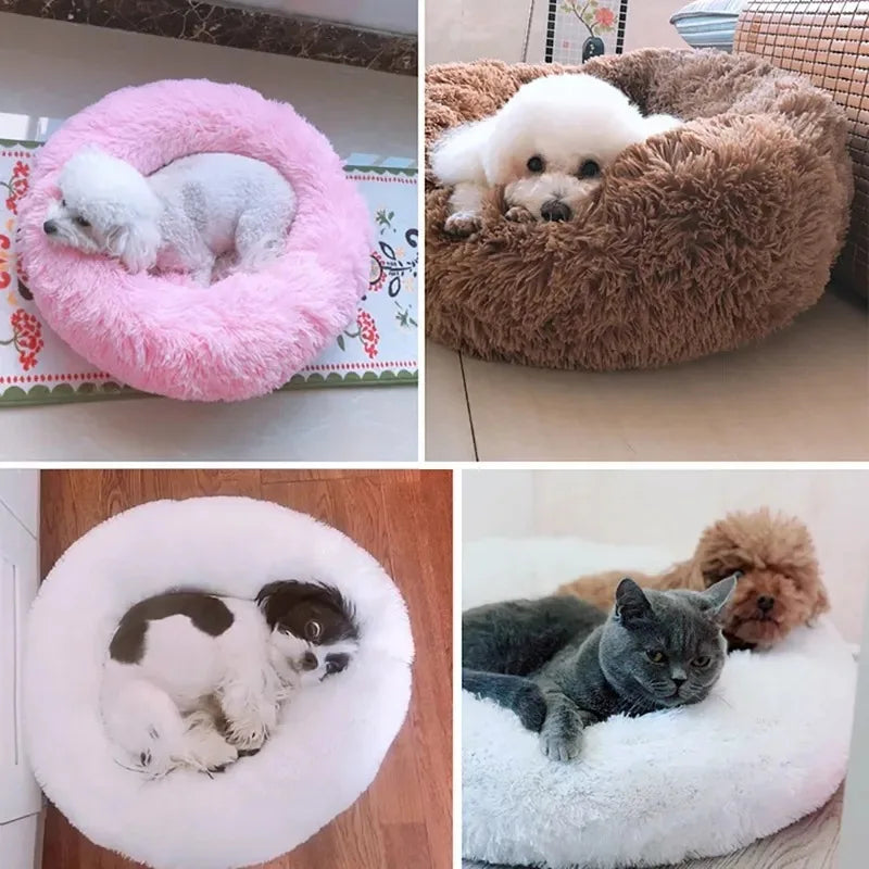 Doggy Donut-Shaped Cuddle Bed!