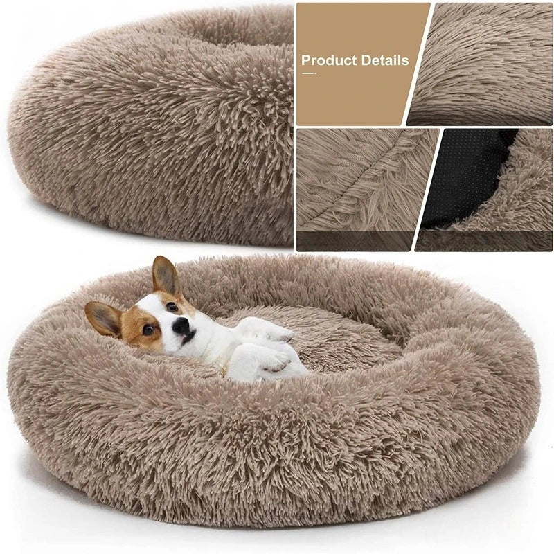 Doggy Donut-Shaped Cuddle Bed!