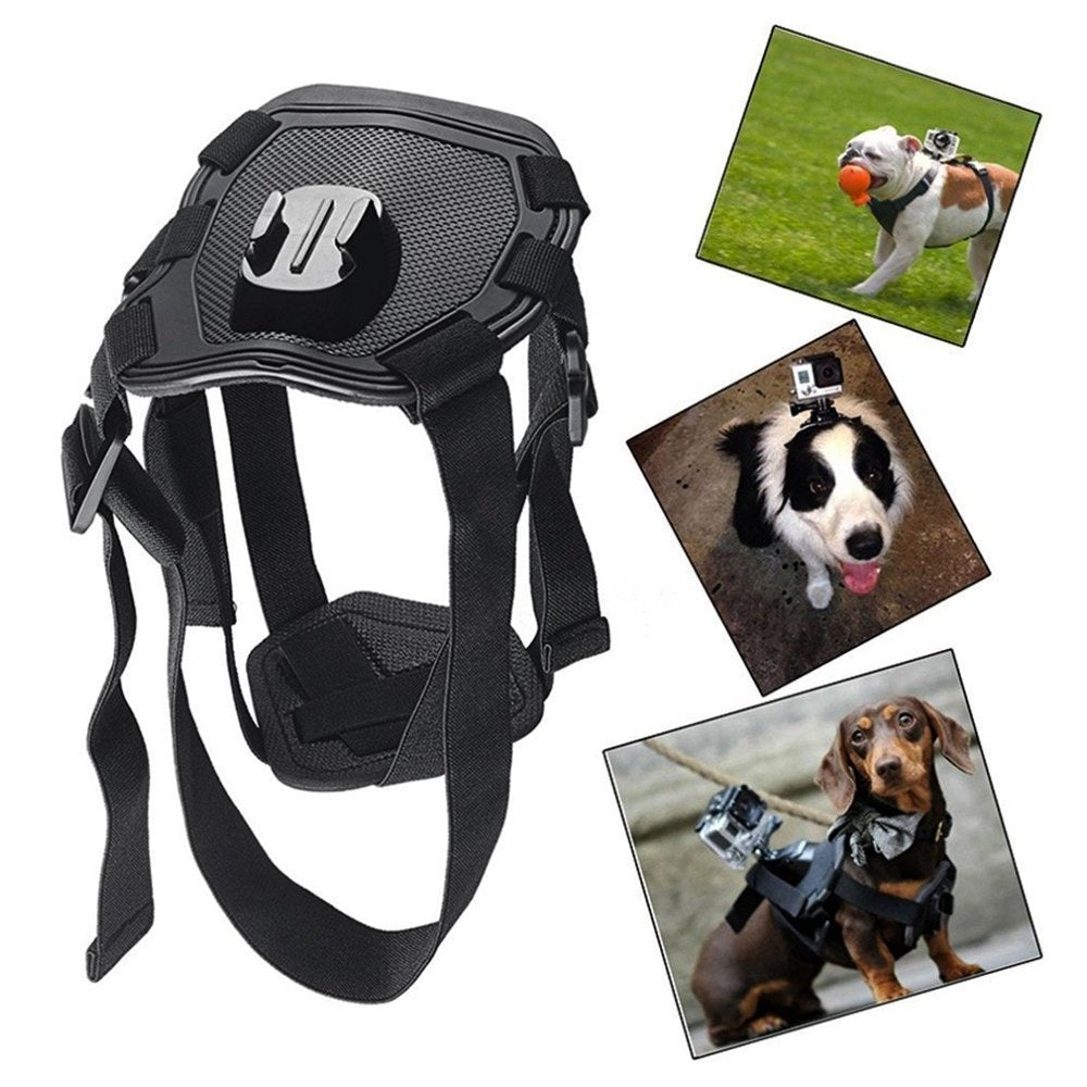 Doggy Harness/Camera Strap!